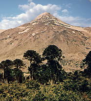 Чили, У подножия вулкана Ланин