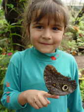 Эквадор, Кристина, бабочка