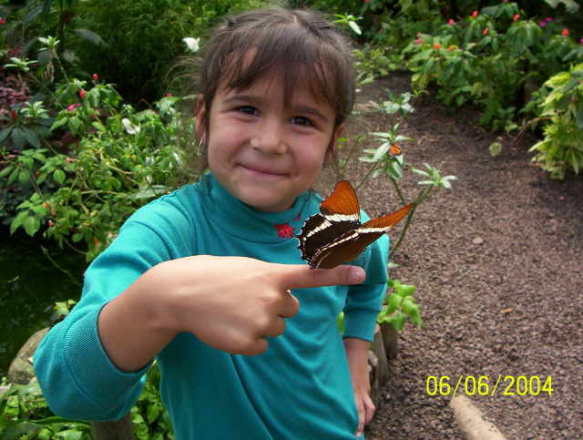 Кристина, бабочка на руке