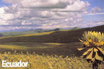 паспорт Эквадора, Ecuador